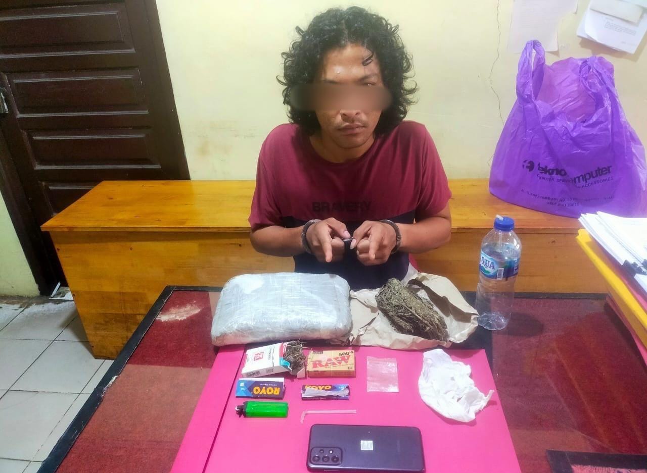 Polsek Siak Hulu Tangkap Pengedar 1 Kg Ganja Kering