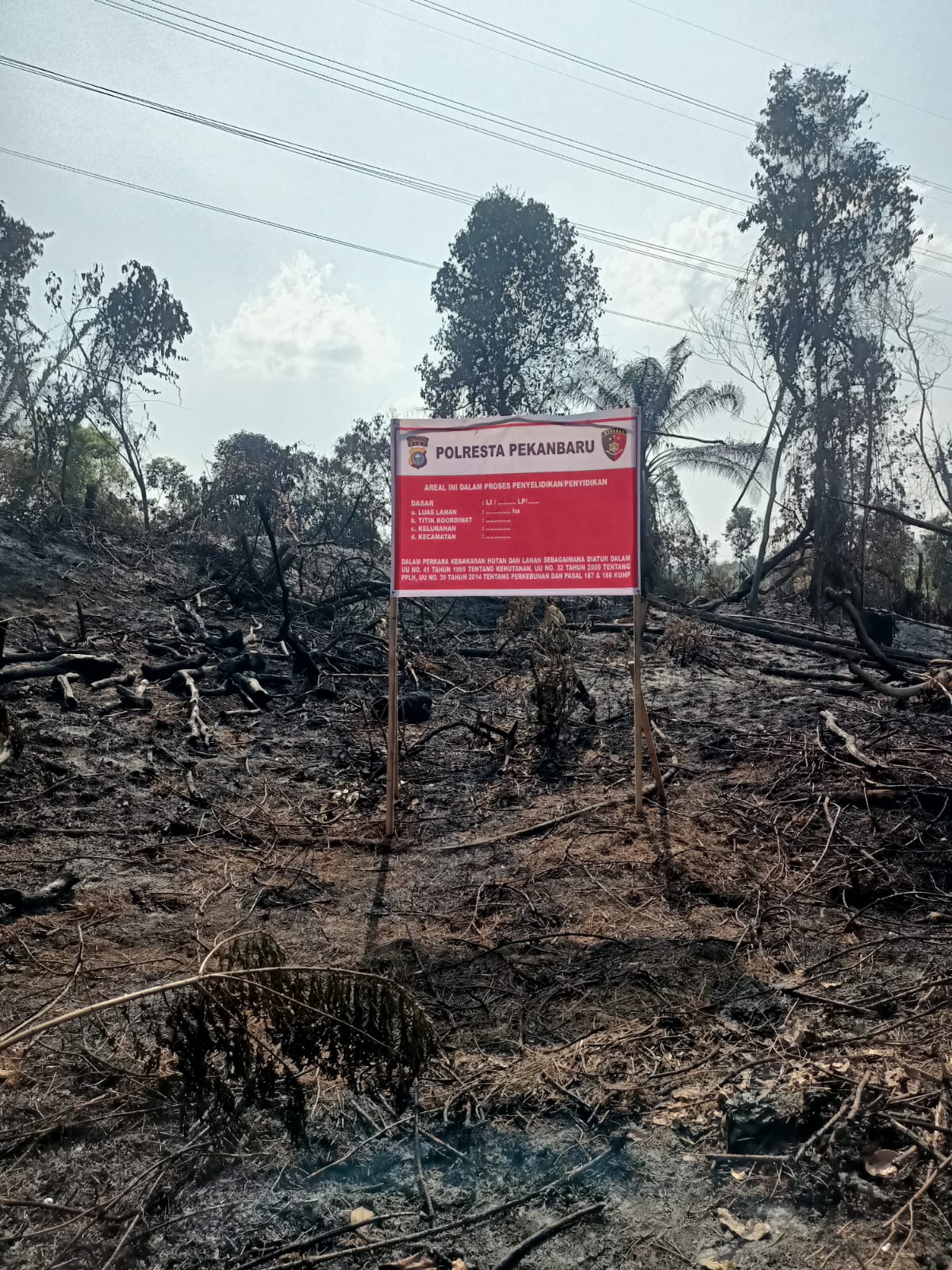 Polresta Pekanbaru Tangkap Diduga Pembakar Lahan