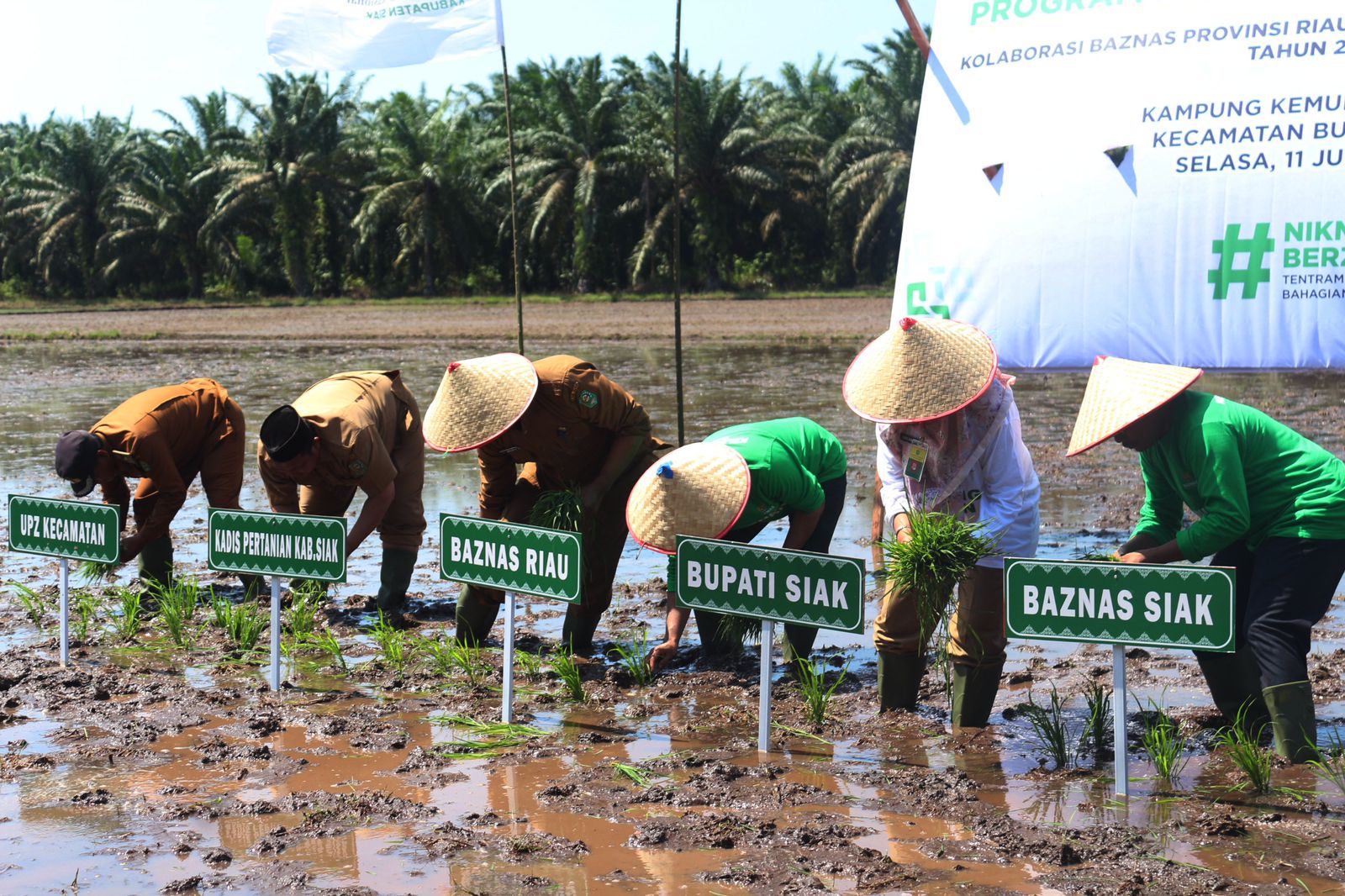 Baznas Riau dan Siak Launching Program Lumbung Pangan