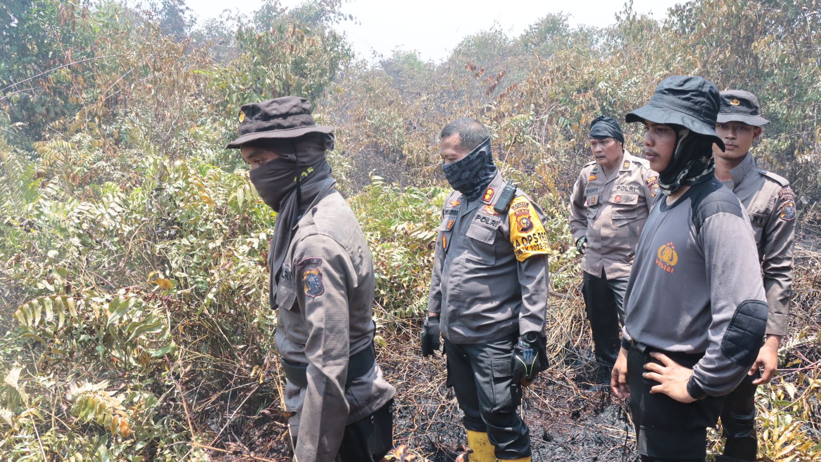 Karhutla Mulai Mengancam Riau