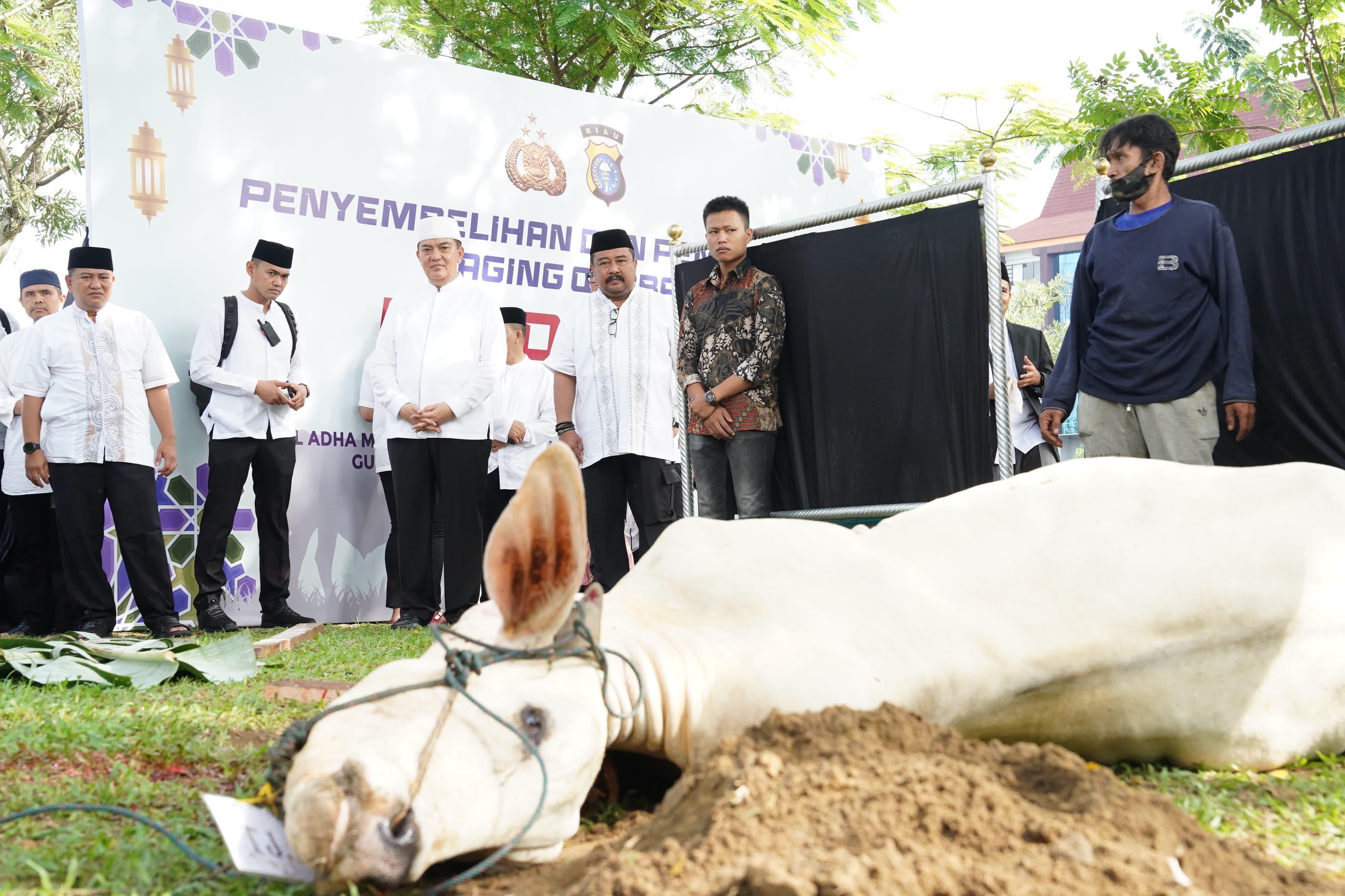 Serahkan 52 Hewan Kurban, Kapolda Riau Irjen Iqbal: Semoga Ketauladanan Nabi Ibrahim Jadi Pedoman