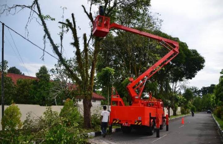 DLHK Pekanbaru Ajukan Penambahan Armada Pemangkas Pohon