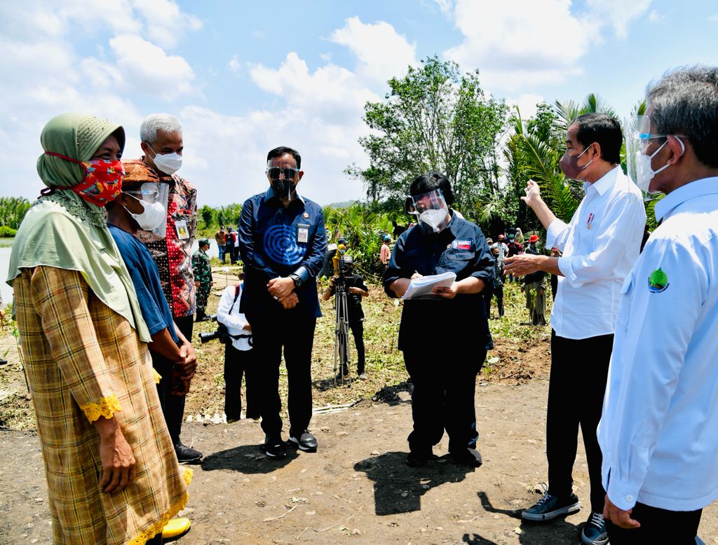 Disediakan Bibit Gratis di Setiap Provinsi, Presiden Jokowi Tanam Mangrove di Cilacap