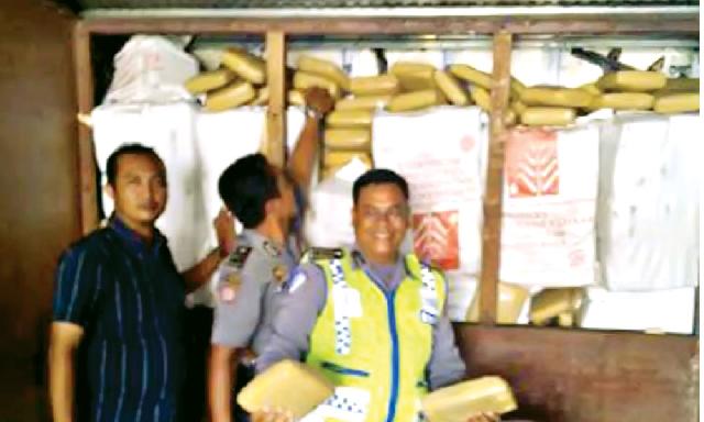 Polisi Sita 2 Ton Ganja di Pelalawan
