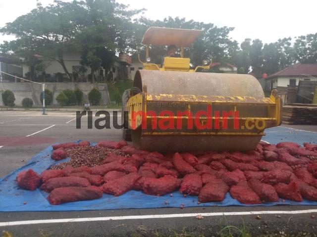 Ratusan Karung Bawang Ilegal Asal Malaysia Dimusnahkan