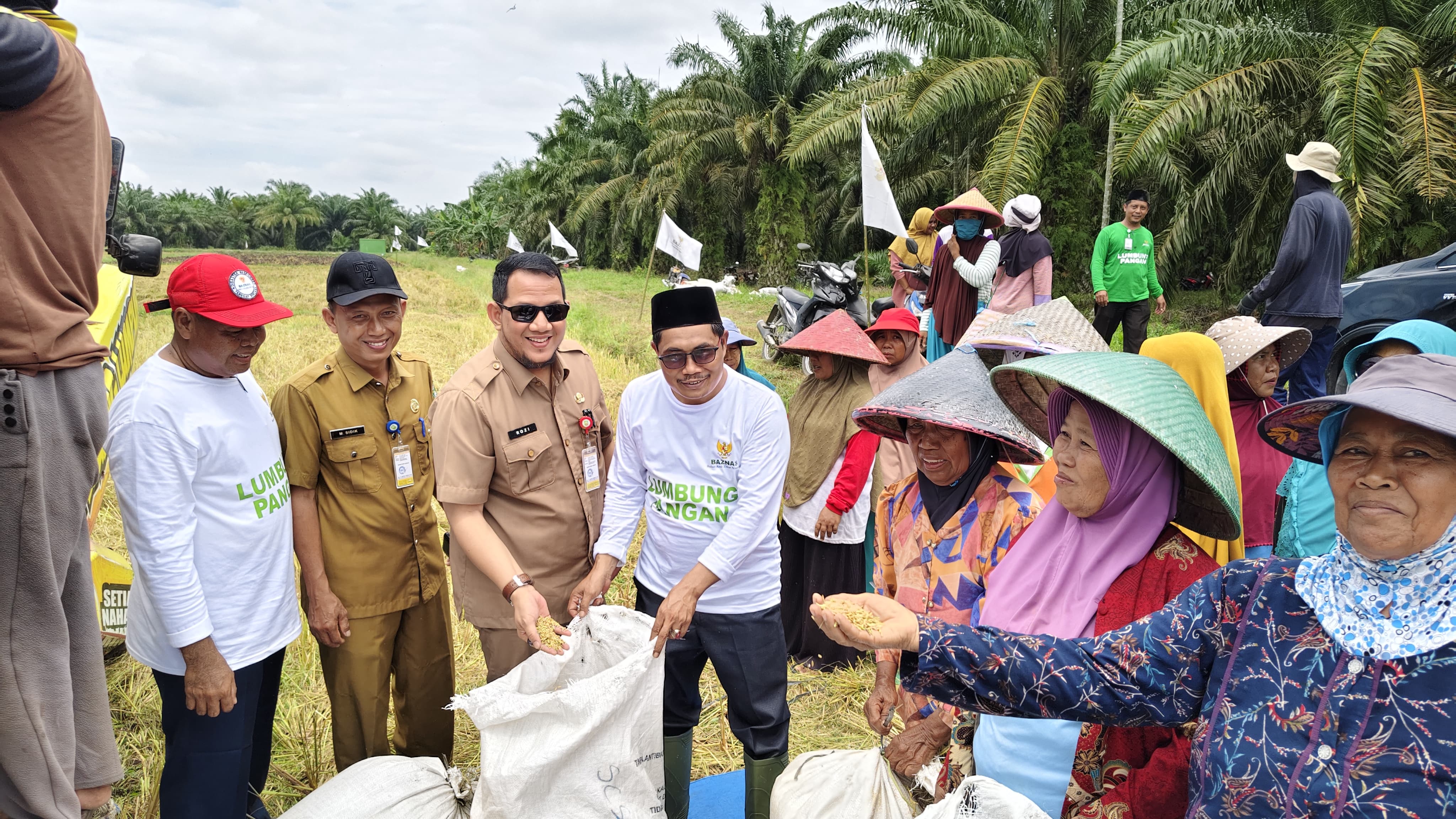 Bersama Baznas Siak, Baznas Riau Panen Raya di Bungaraya