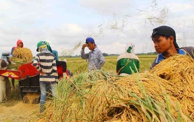 Pemerintah Naikan Harga Beli Gabah dan Jagung