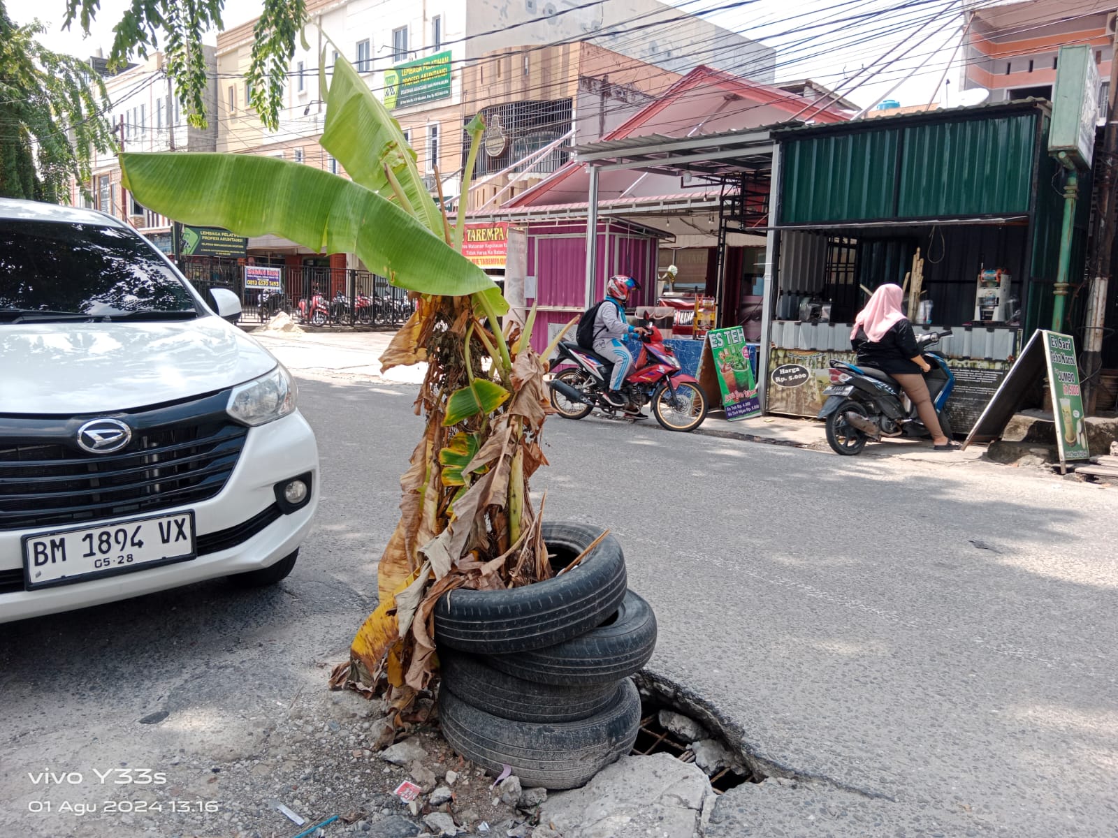 Warga Tanam Pohon Pisang di Jalan Paus