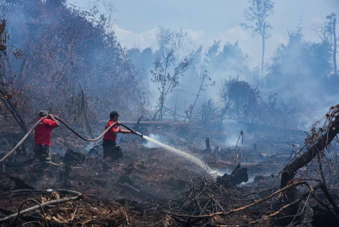 Pemko Pekanbaru Segera Tetapkan Siaga Darurat Karhutla