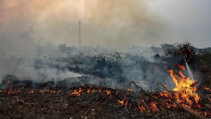 BPBD Riau Dorong Daerah untuk Tetapkan Siaga Darurat Karhutla