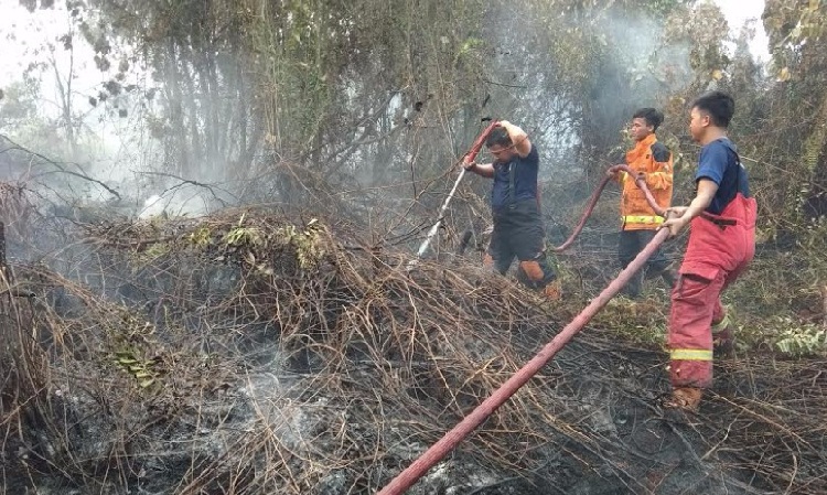 BPBD Ungkap Lahan Kosong di Pekanbaru Sengaja Dibakar