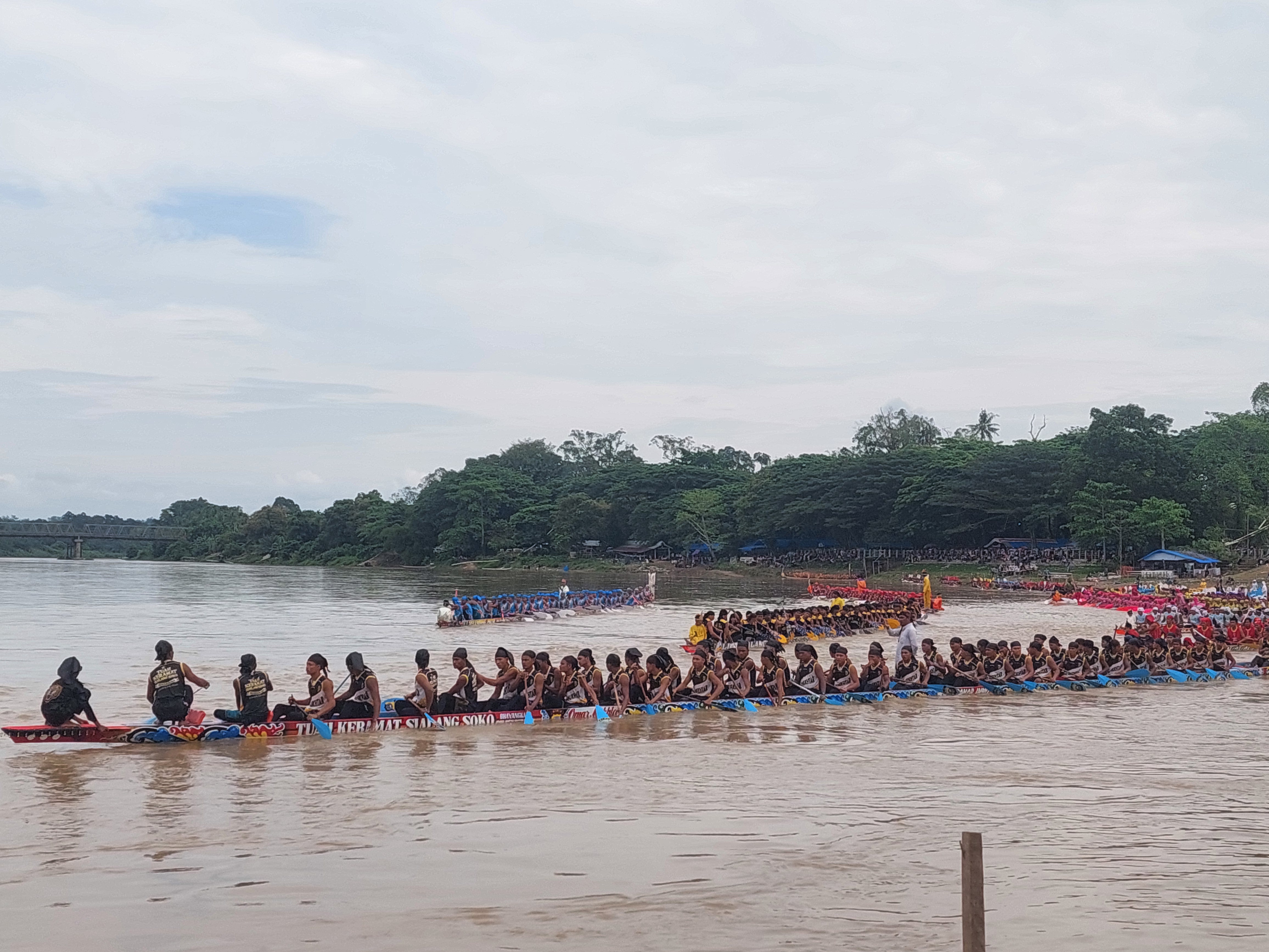 Jalur Tangguh Bertumbangan, 15 Jalur Melaju ke Final Pacu Jalur Kuansing