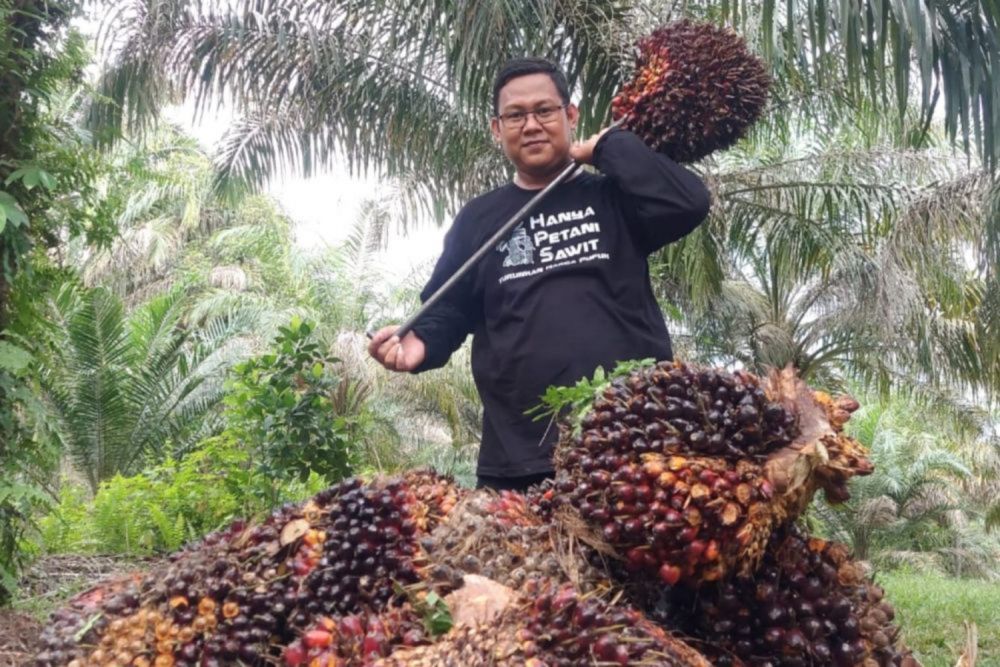 Harga TBS Mitra Swadaya di Riau Naik Lagi