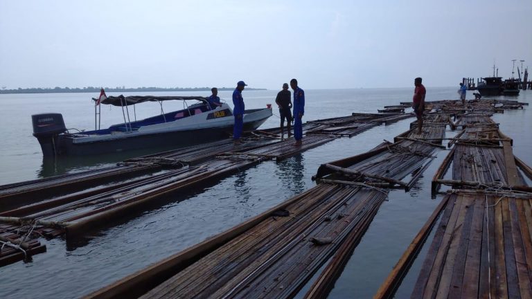 Polda Riau Tangkap Dua Orang Pembawa 50 Ton Kayu Ilegal di Meranti