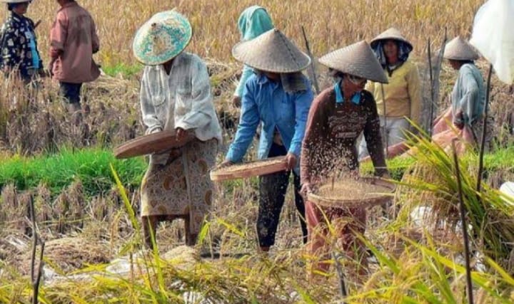 NTP Riau Juni Naik 0,63 Persen 