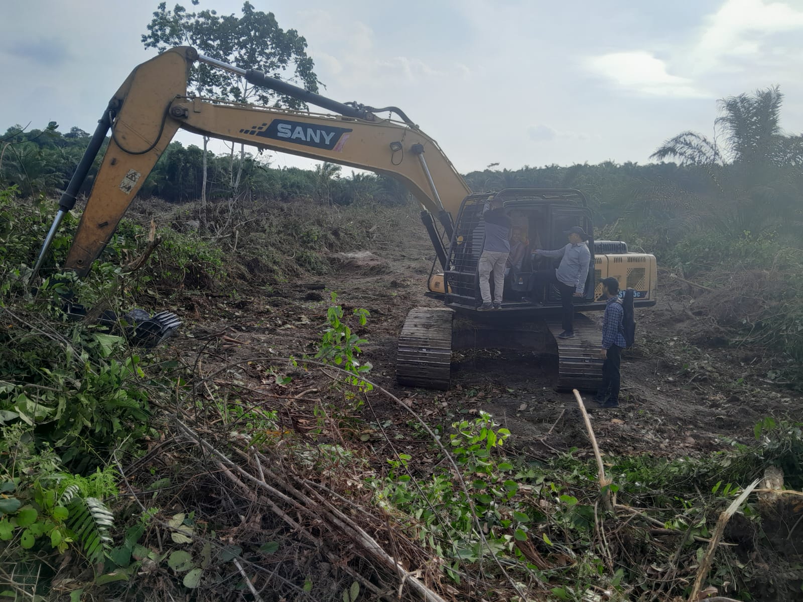 Sedang Buka Lahan, Dua Perambah Rimbang Baling Diringkus