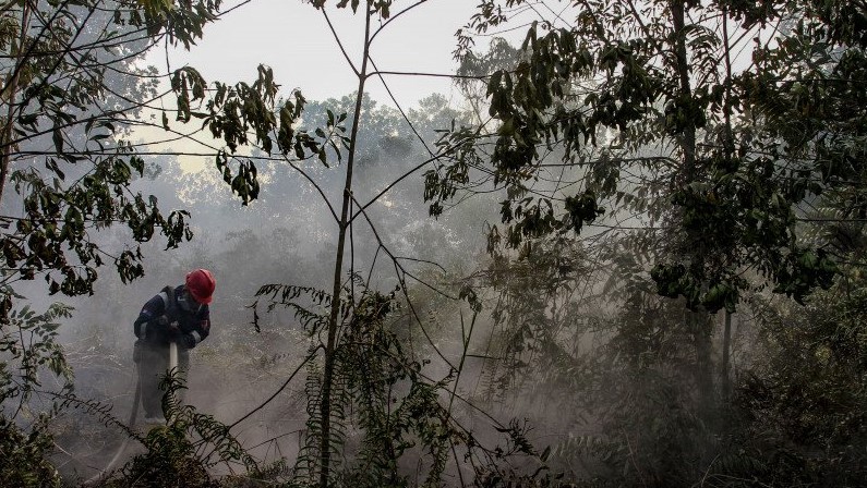 Bengkalis Dikepung 13 Titik Panas, Potensi Karhutla Meningkat