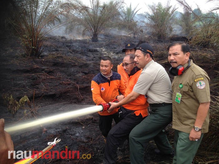 14 Hari Petugas Berjibaku, Karhutla di Inhu Tak Kunjung Padam