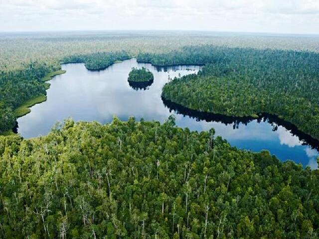 Pemerintah Libatkan Swasta  Kelola Taman Nasional Zamrud