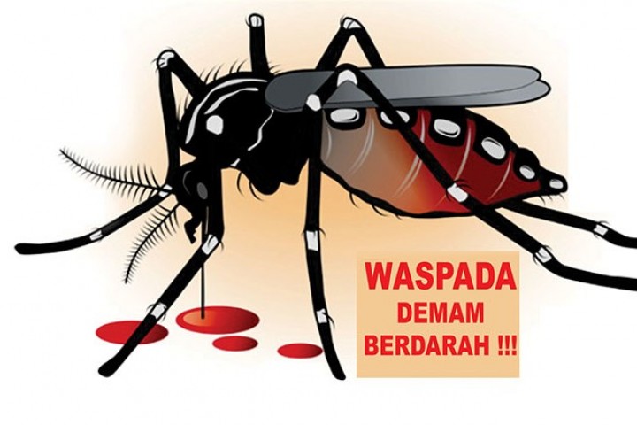 Kadiskes Pekanbaru Imbau Warga Waspada DBD