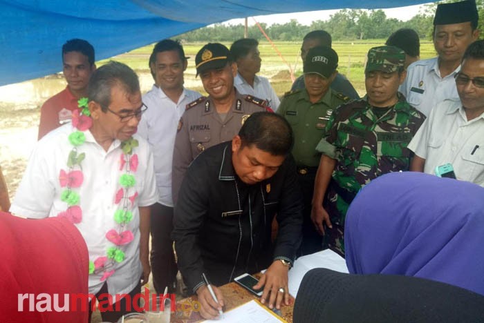 Bupati Mursini dan Wakil Ketua DPRD Kuansing Buka Panen Raya Bawang Merah, Ini Harapannya