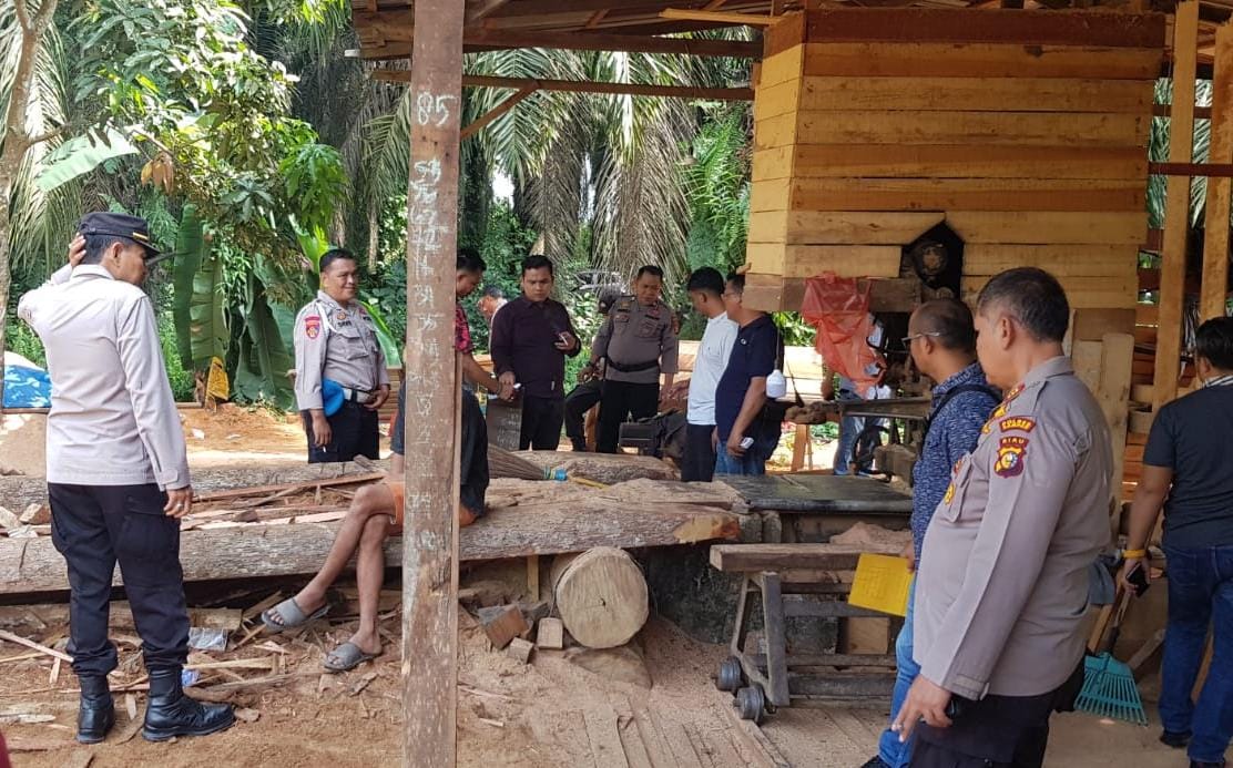 Polisi Police Line Sawmil Ilegal Logging di Siak Hulu