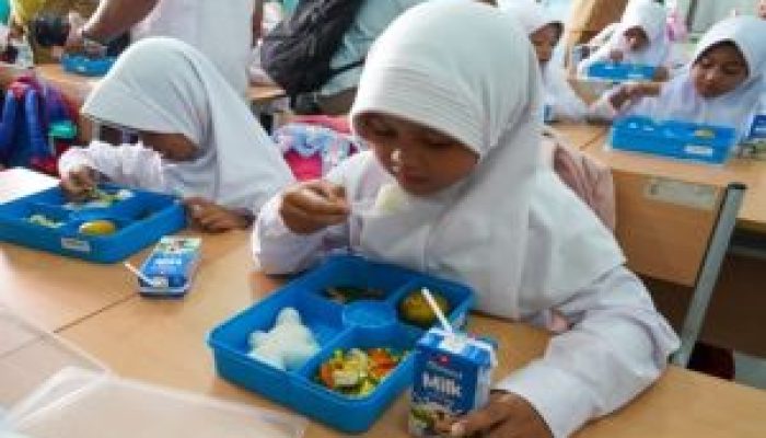 Daun Kelor Gantikan Telur Ayam, Ini Penjelasan Pemerintah