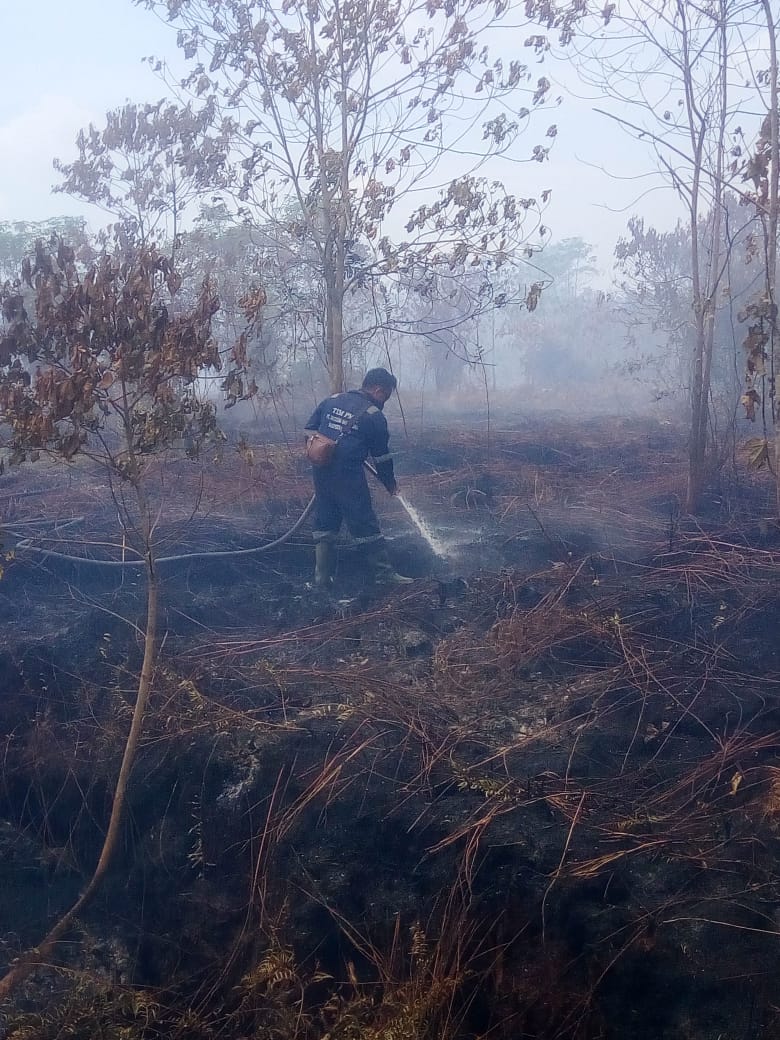 Pemadaman Karhutla di Pulau Rupat Terkendala, Ini Penyebabnya