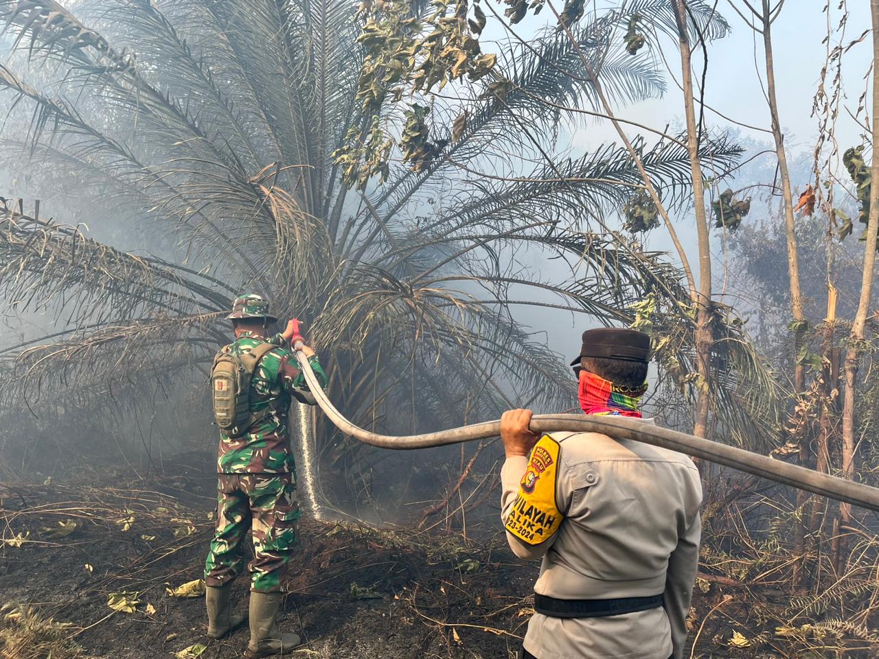 26 Hektare Lahan di Rohil Terbakar 