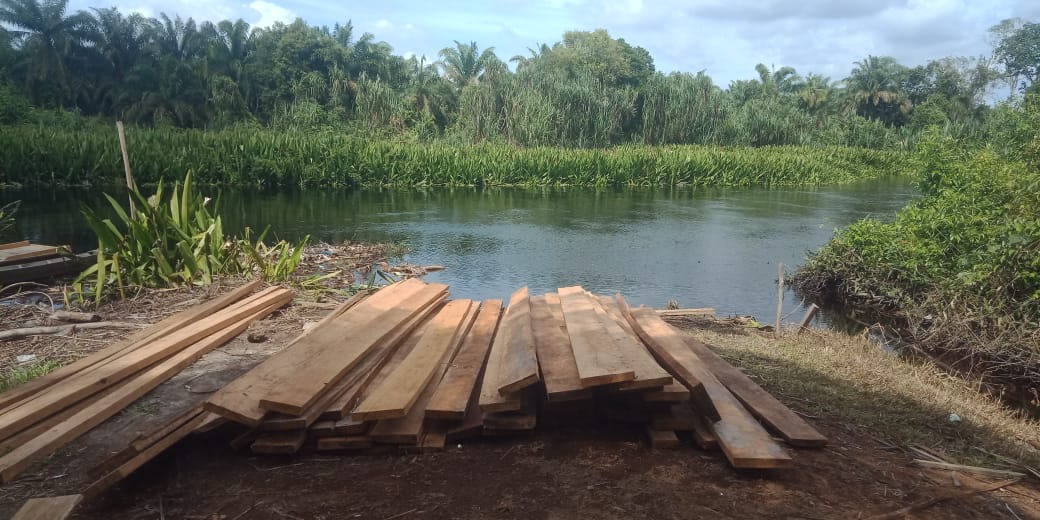 Diduga Hasil Illegal Logging Marak di Siak Kecil