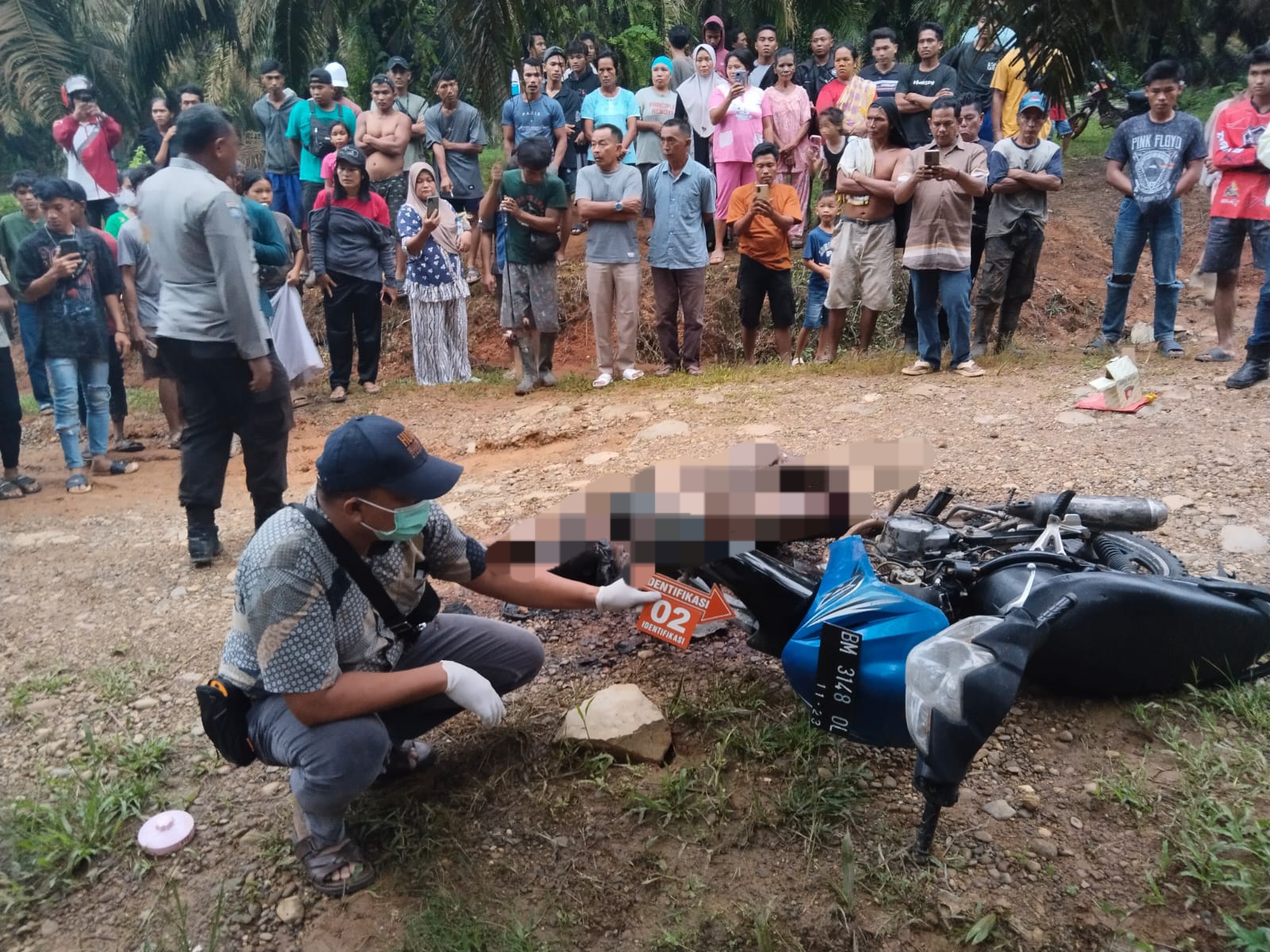 Temuan Jasad di Kebun Sawit di Tapung: Leher Robek, Tubuh Terbakar