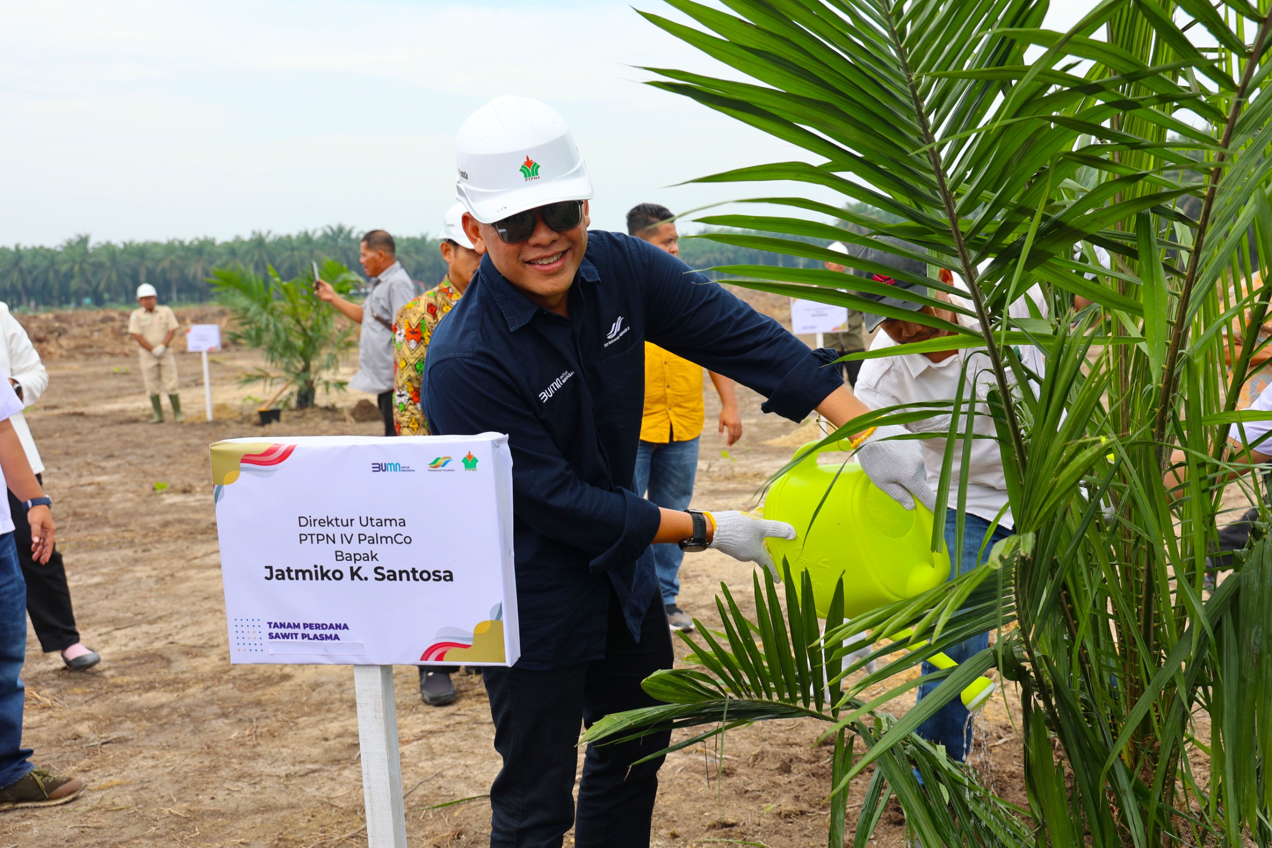 Target 60.000 Hektar Peremajaan, Begini Cara PalmCo Gandeng Petani Sawit Indonesia