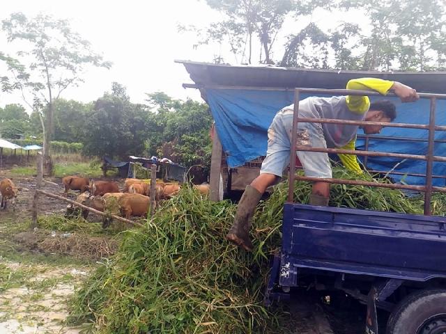 Pemerintah Imbau Tak Gunakan Kantong Plastik untuk Bungkus Daging Kurban