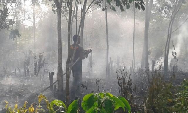 Kebun Karet Terbakar, Hanya Berjarak 300 Meter dari Perumahan Candika Bangkinang