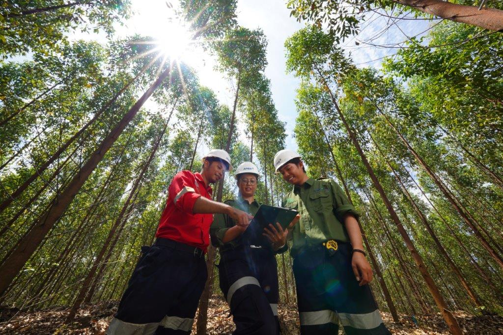 PT RAPP Gelar Lomba Jurnalistik 2025: Bertemakan Kehutanan