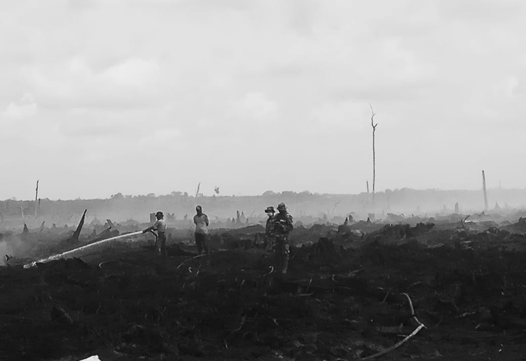 Kasus Karhutla PT Adei Plantation Disidang Pekan Depan