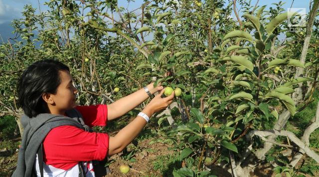 Mau Cepat Langsing? Ini Rahasianya