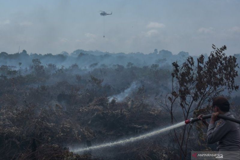 Tim Gabungan Terkendala Air Saat Padamkan Kebakaran Lahan Gambut di Meranti