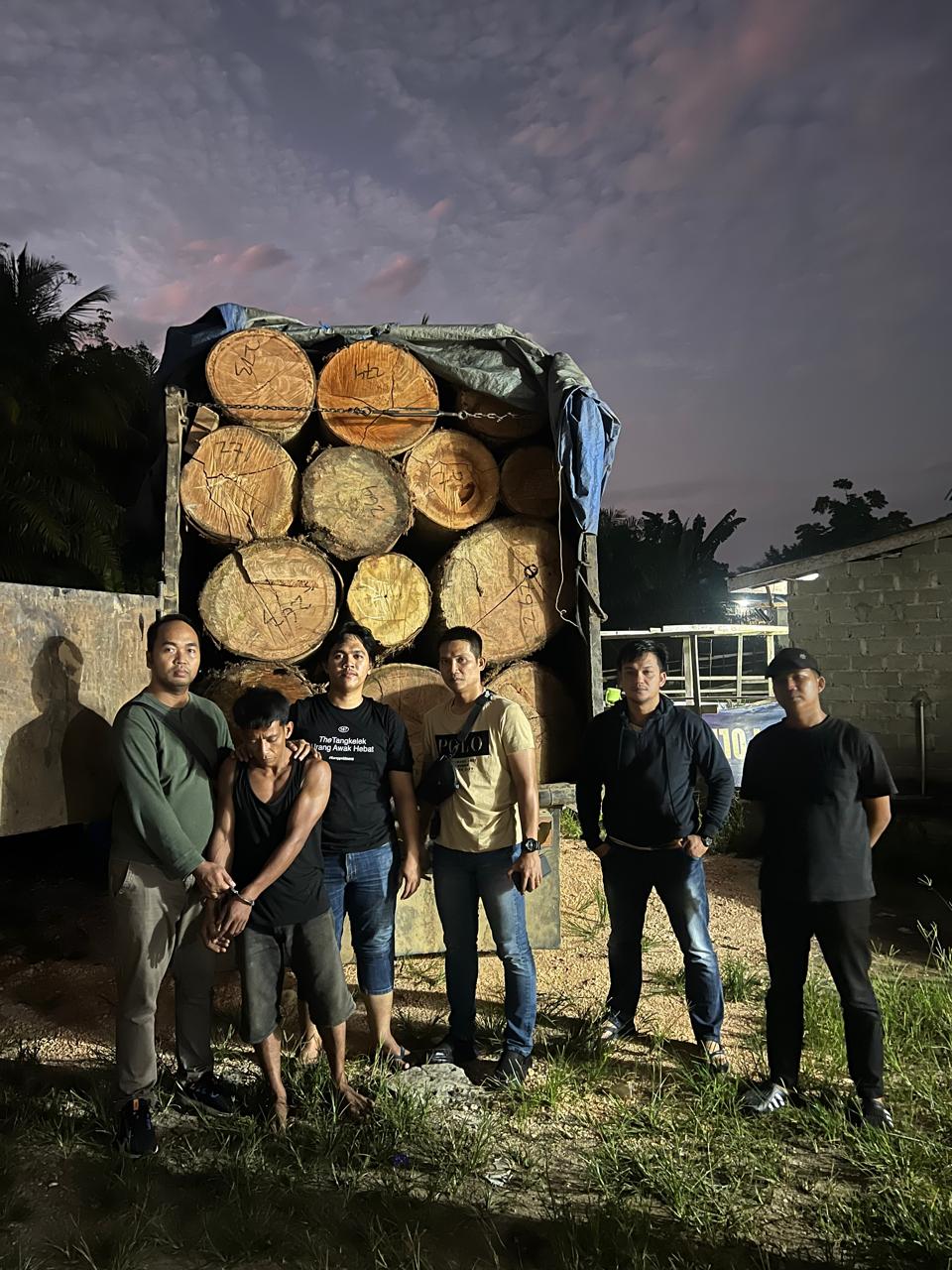 4 Truk Angkut Kayu Ilegal Logging Diamankan