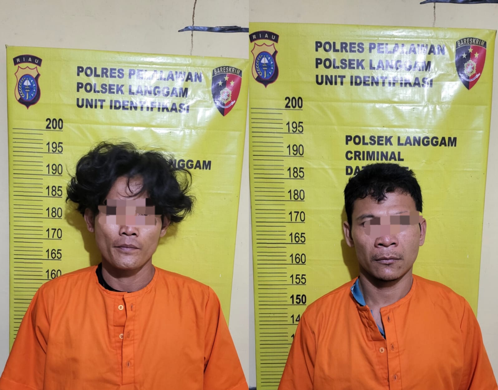 Polsek Langgam Ringkus Dua Pelaku Curanmor