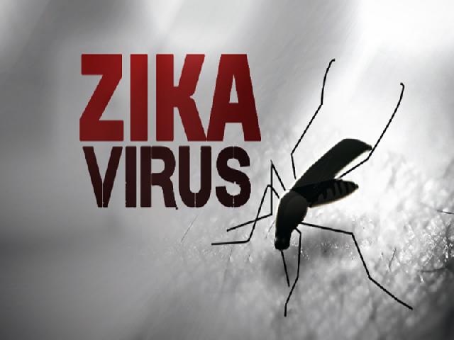 Kemkes Minta Warga Tidak Remehkan Zika