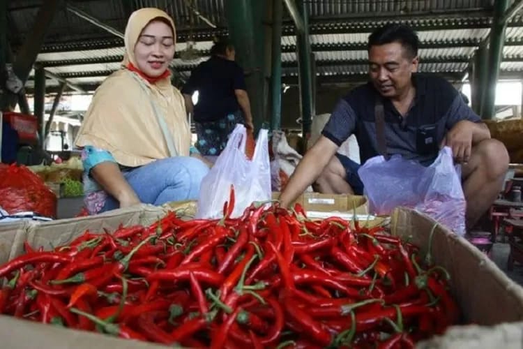 Hargai Cabai di Pekanbaru Turun Drastis