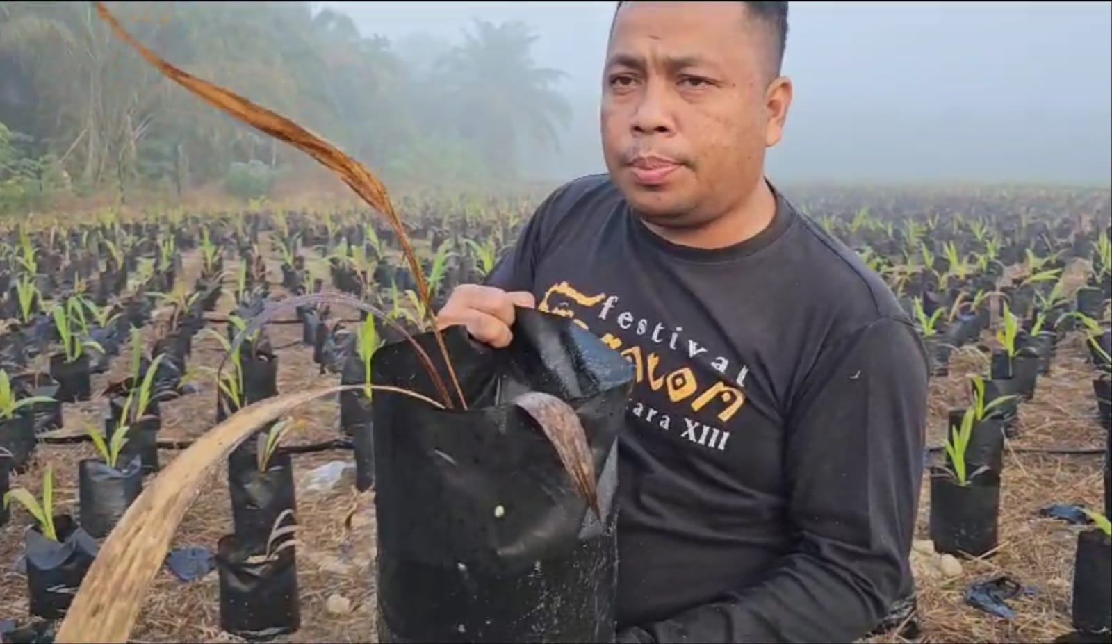 Pembibitan Dinas Perkebunan Sorek Dua Sangat Memprihatinkan