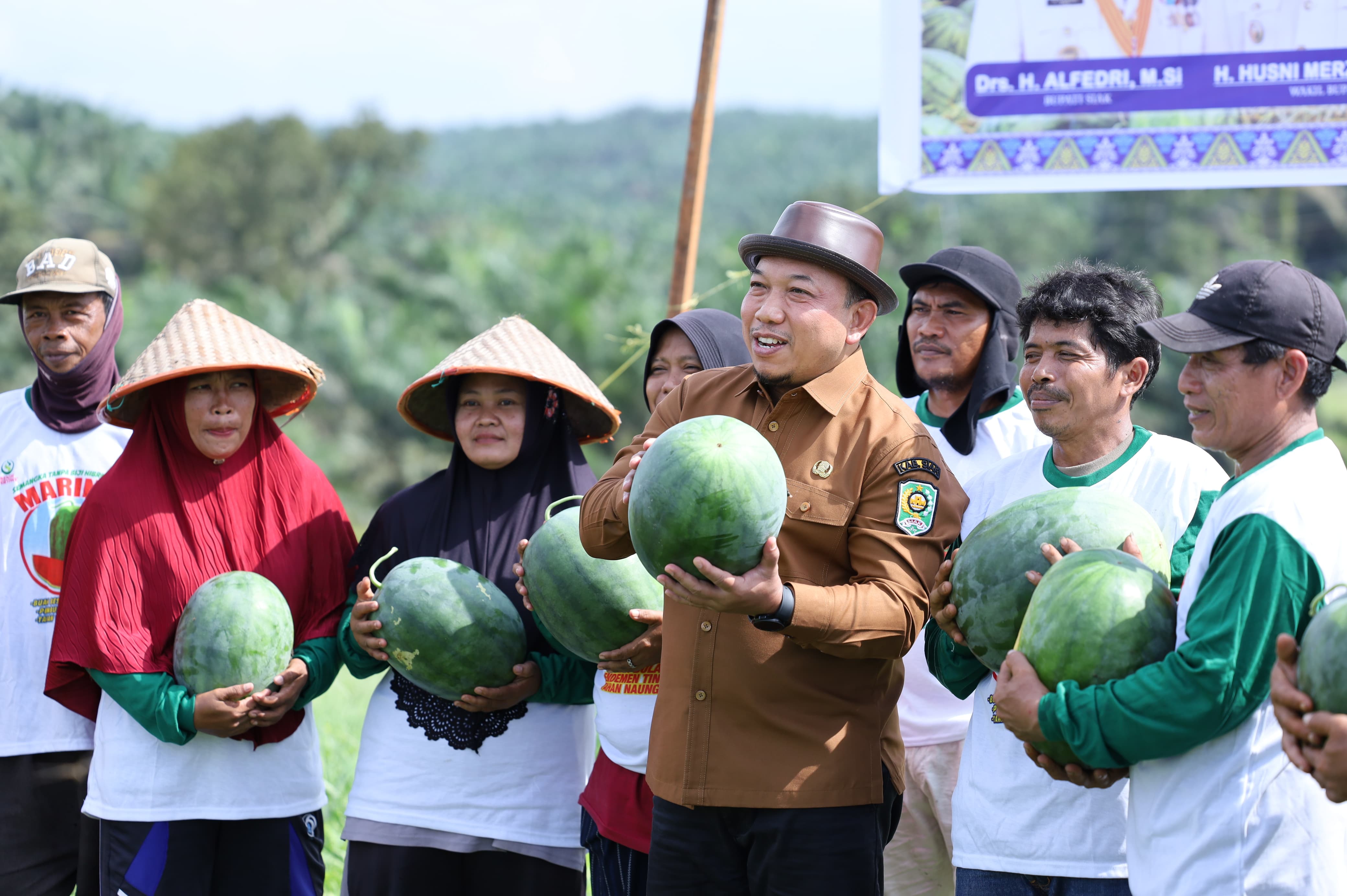 Petani Semangka di Siak Raup Untung