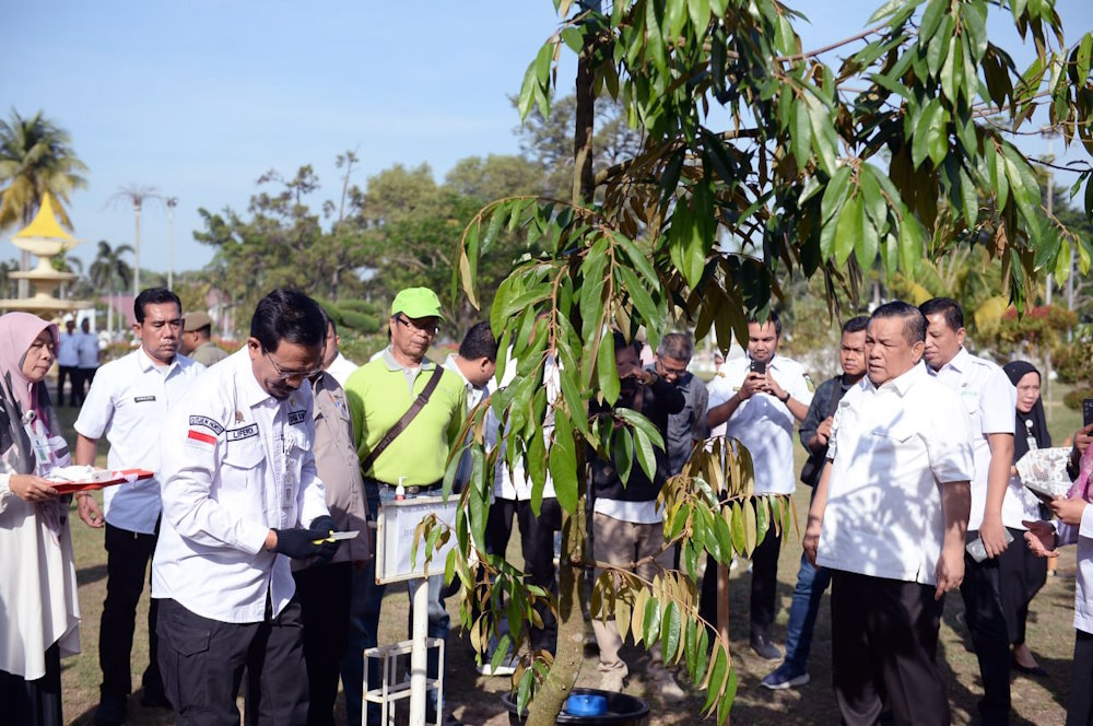 Pj Gubri SF Hariyanto Tanam 70 Bibit Pohon Durian Musang King