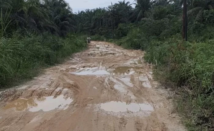 Akses Jalan tak Mendukung, Hasil Panen di Kelurahan Mekar Sari Sulit Diangkut