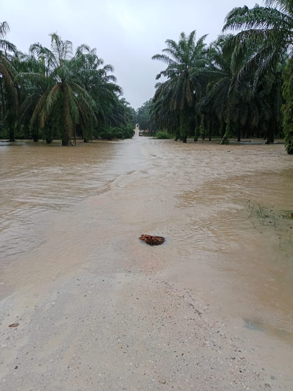 Sejumlah Desa Mulai Direndam Banjir, Kuansing Segera Status Siaga Darurat Hidrometrologi