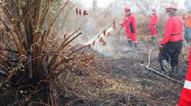 Tujuh Titik Panas Masih Bertahan di Riau