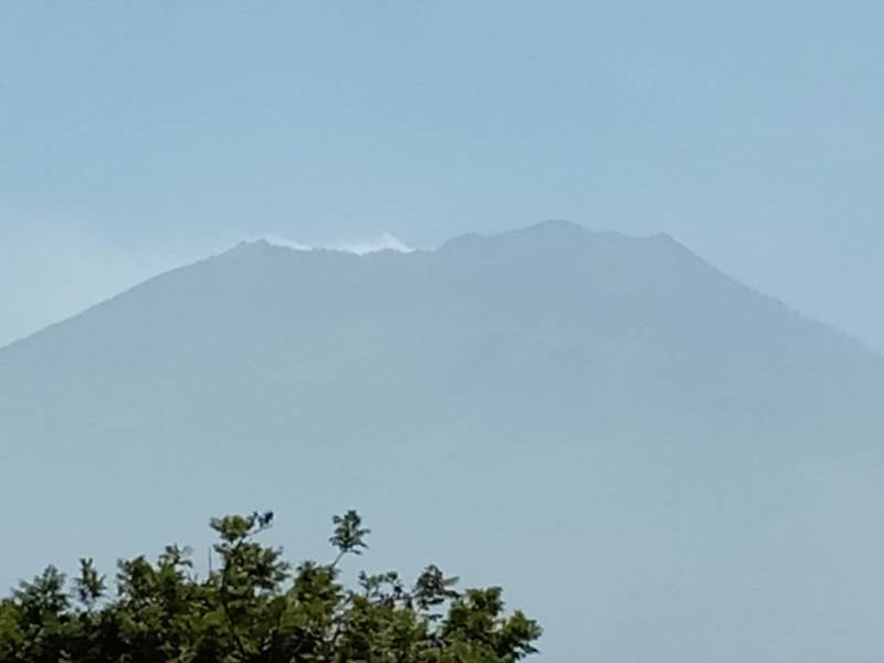 Hutan Gunung Arjuna Terbakar, 50 Pendaki Masih Berada di Atas