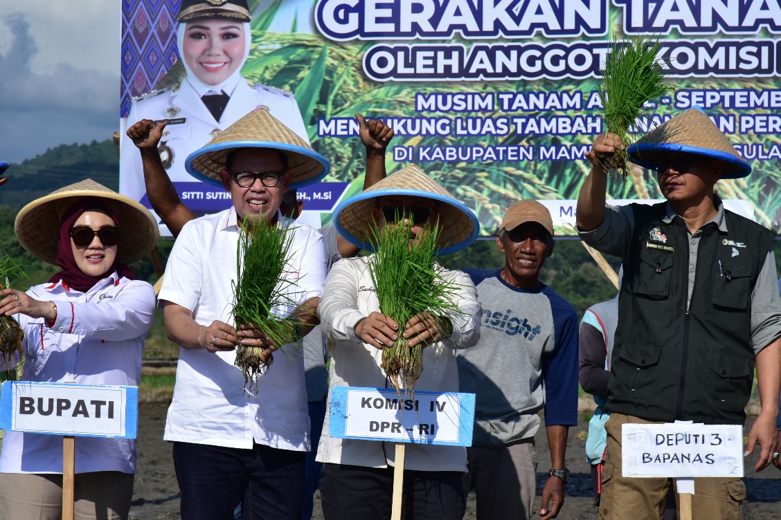 Komisi IV DPR RI Dukung Gerakan Tanam Padi di Mamuju